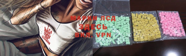 бошки Заводоуковск