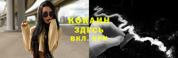бошки Заводоуковск