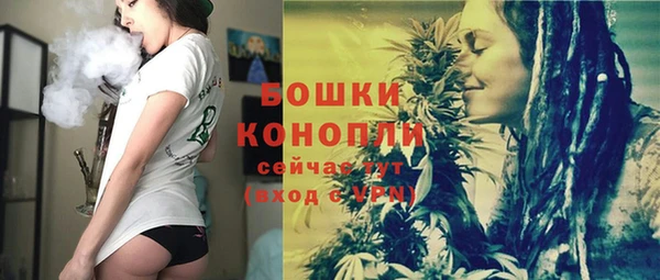 бошки Заводоуковск