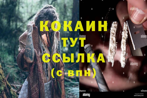 бошки Заводоуковск
