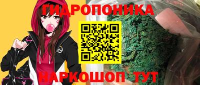 спиды Дубна