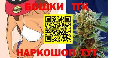 спиды Дубна
