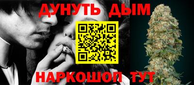 спиды Дубна