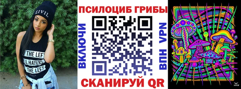 Галлюциногенные грибы Psilocybine cubensis Свободный