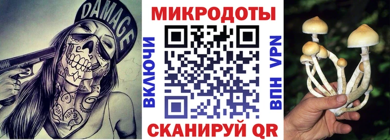 Галлюциногенные грибы мухоморы  даркнет сайт  Свободный 
