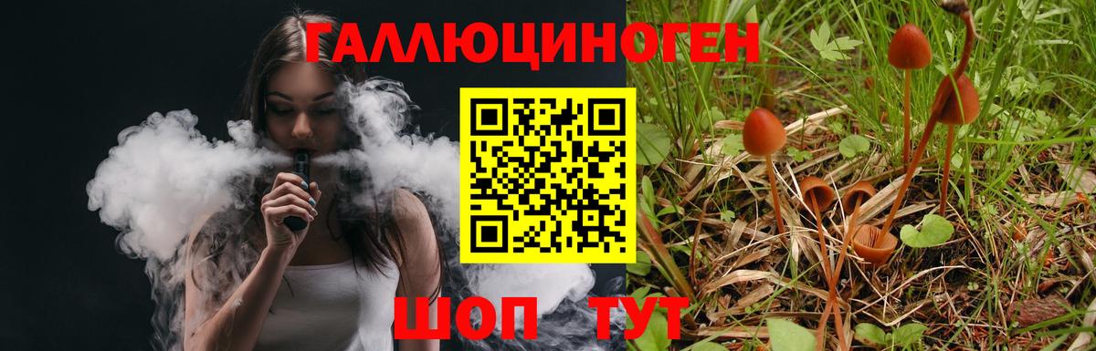 Свободный  Вход с VPN  Мефедрон   Кокаин  ГАШ  Канабис  ЭКСТАЗИ 